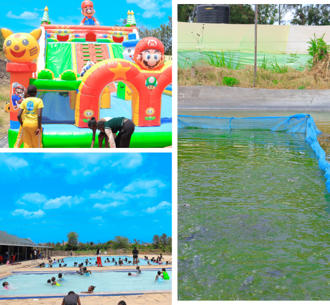 The Fish Paradise Learning Center