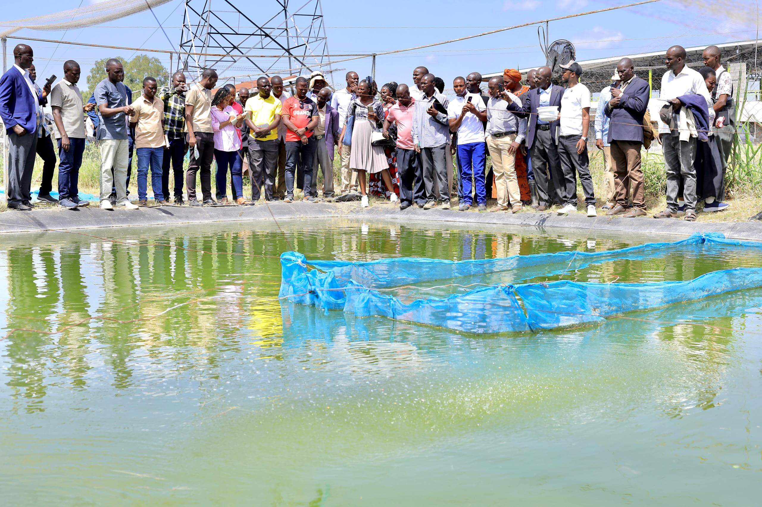 fish-pond